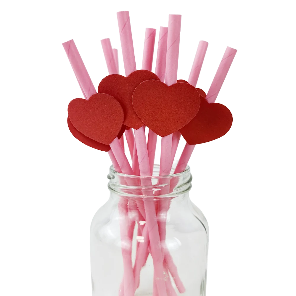 Biodegradable Red Heart Paper Straws - 10pcs